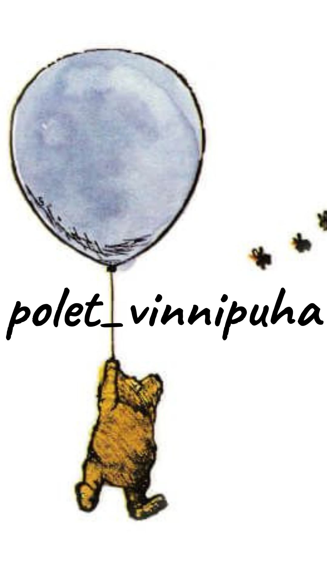 Polet_vinnipuha