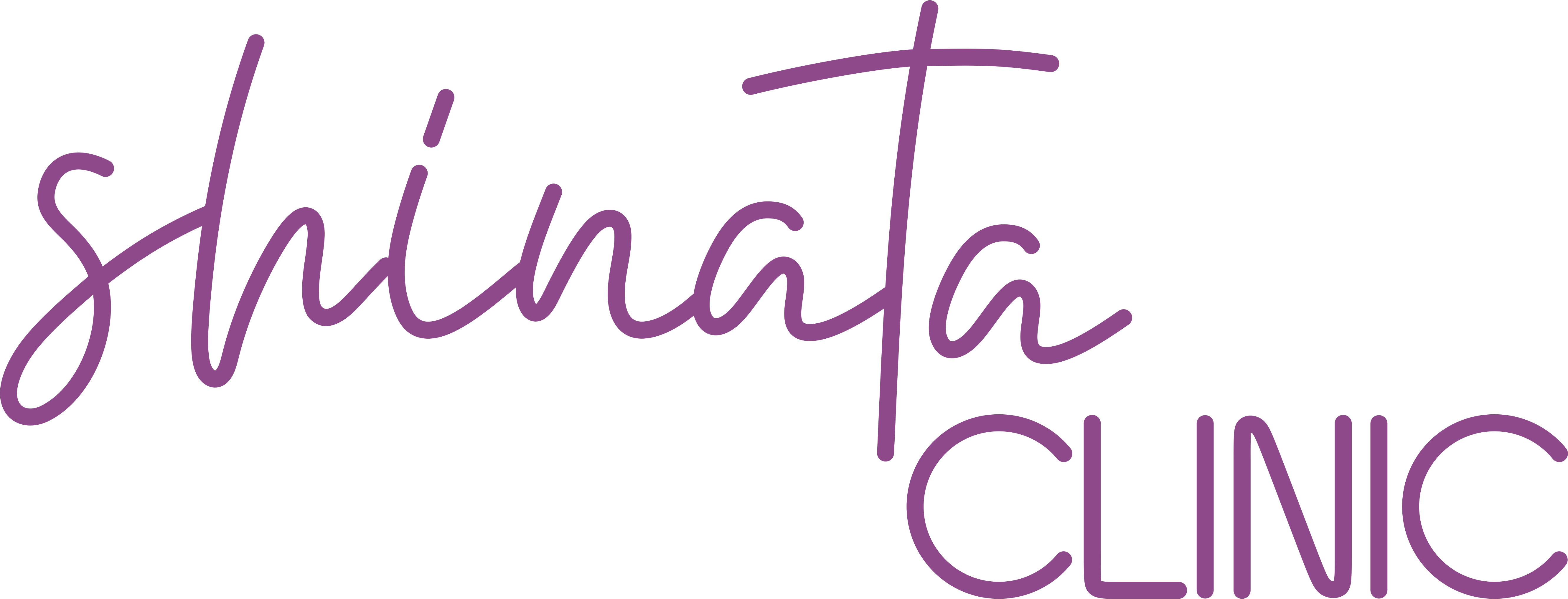 Shinata Clinic